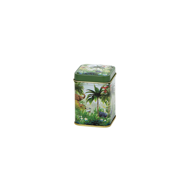 Rain Forest