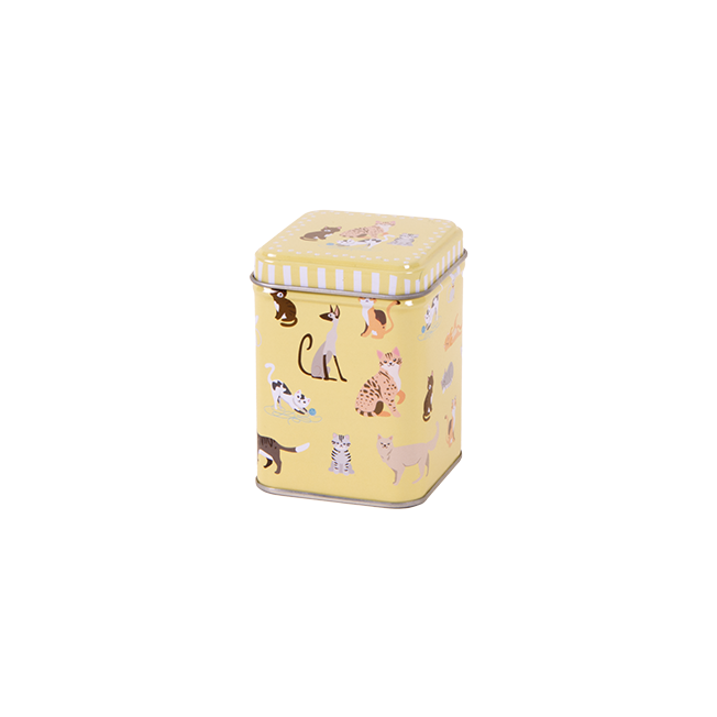 50g square tin with slip lid