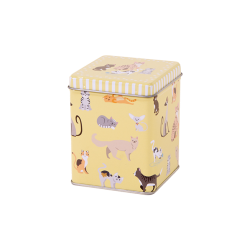100g square tin with slip lid