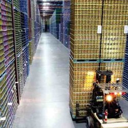 Balls Lets Can Hunger! food drive sets another record