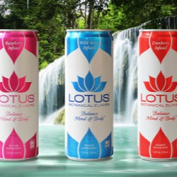 Lotus Botanical Elixirs launch in Rexam Sleek cans with tactile printing