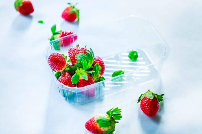 PET ECOSOFT tray