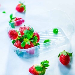PET ECOSOFT tray