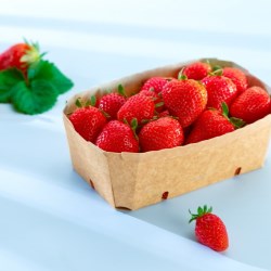MAXIPACK fresh produce cardboard punnet