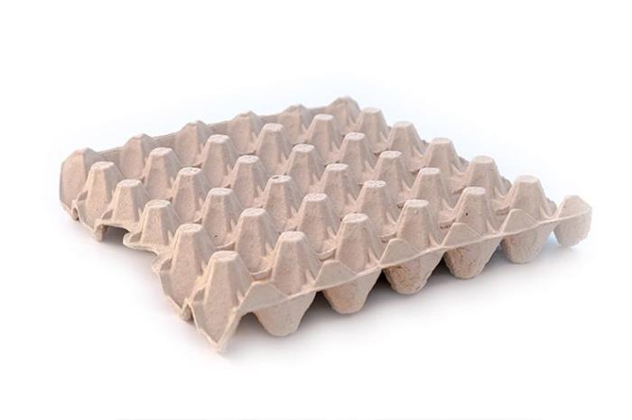 New tray design reduces egg breakage in Brazil’s demanding conditions