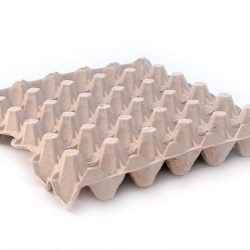 New tray design reduces egg breakage in Brazil’s demanding conditions