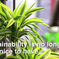 Hispack18 - Packaging & sustainability