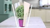 Bloom Guard Plus
