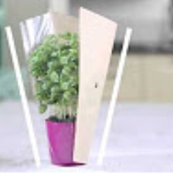 Bloom Guard Plus