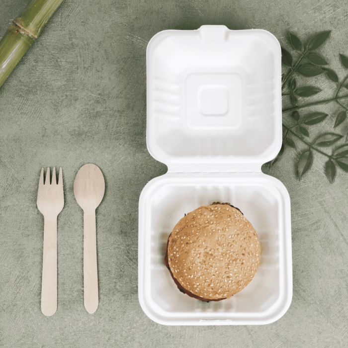 Bio Burger Box