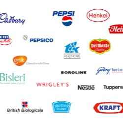 Advanced Packaging Solutions is more than just words at Manjushree