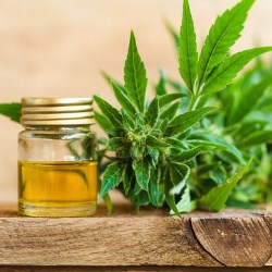 CBD- The Vital New Skincare Ingredient