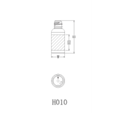H010