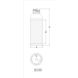 H100