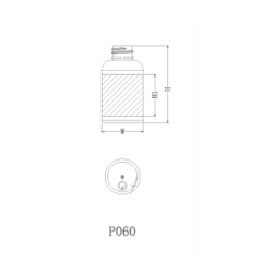 P060