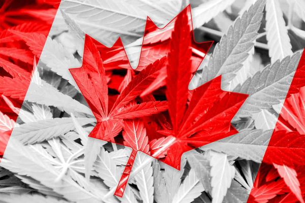 Green Rush Packaging expands operations into the Canadian cannabis market