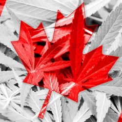 Green Rush Packaging expands operations into the Canadian cannabis market