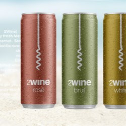 Best. Summer. Ever. with 2Wine cans