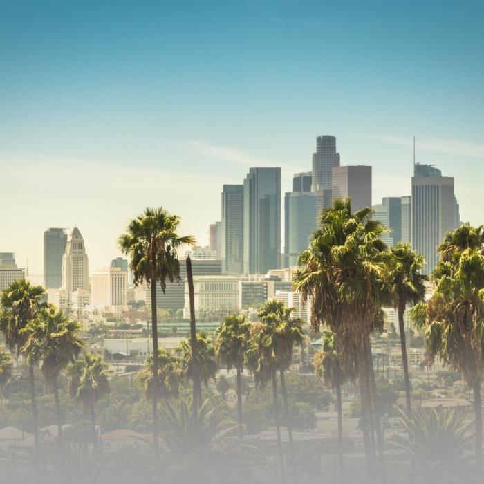 Reshape the Beauty Industry With Element in Los Angeles
