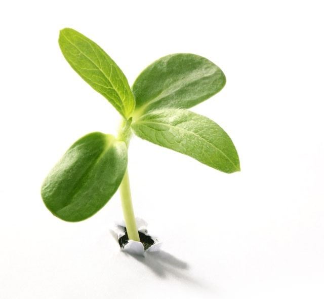 Packaging that nature digests