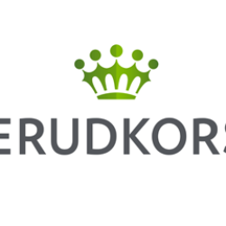 Change in BillerudKorsnäs Senior Management Team