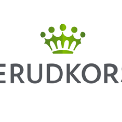 BillerudKorsnäs explores new technologies – launches full scale tests adding MFC to its paperboard