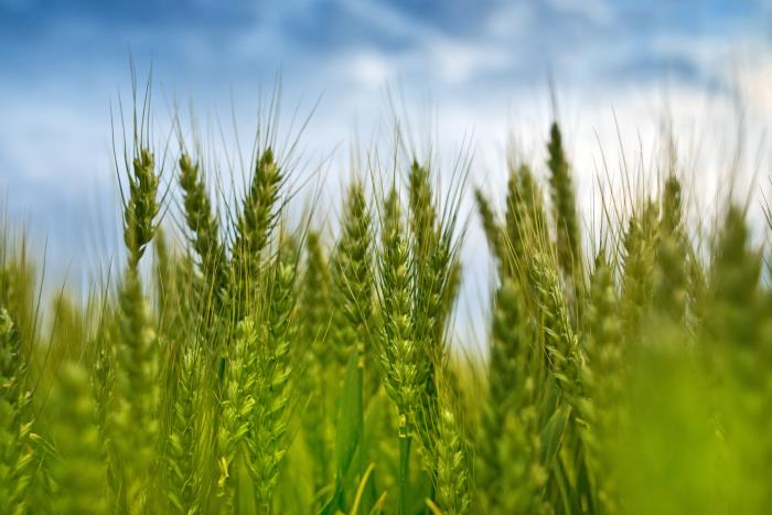BillerudKorsnäs among the most sustainable companies in the world