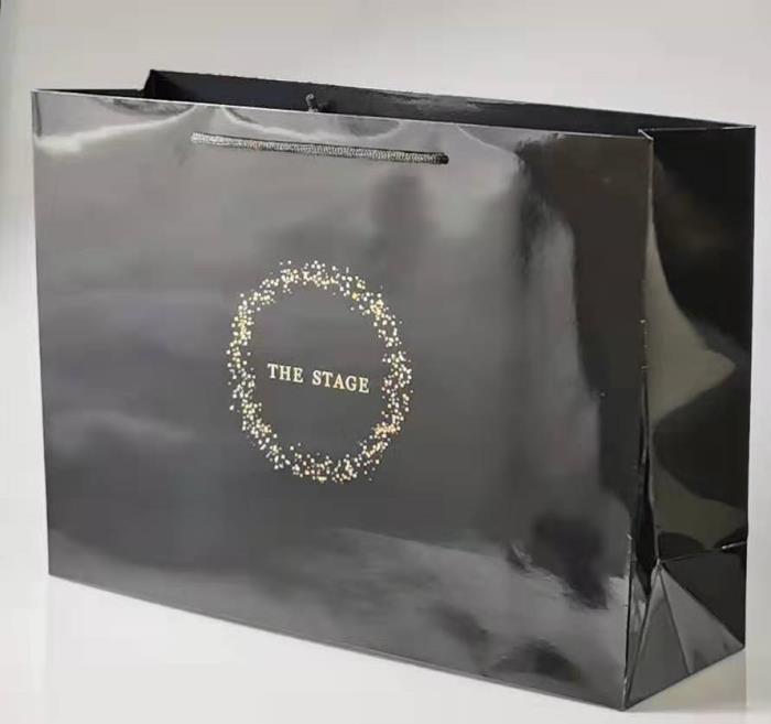 TS0119003 Large Paper Bag