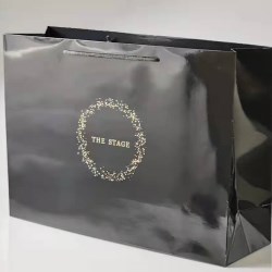 TS0119003 Large Paper Bag