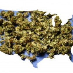 New laws, opportunities, and demand for dispensary packaging consultation