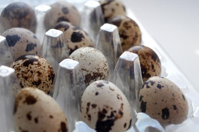 Thermoforming 101: A custom packaging solution with surprising benefits