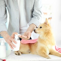 Pet product and packaging trends for 2018