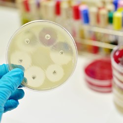 Antimicrobial packaging keeps consumers safe