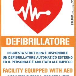 Plastopiave Defibrillator