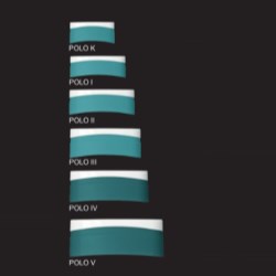 Polo IV