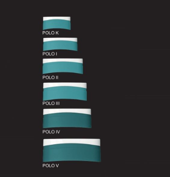 Polo V