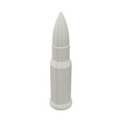 Custom Bullet Bottles