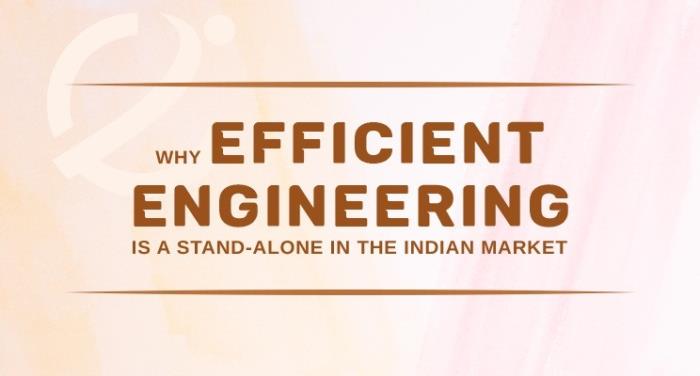 Why is Efficient Engineering a stand-alone in the Indian market?
