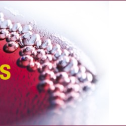 Canadean Soft Drinks Strategy Congress Madrid 2016