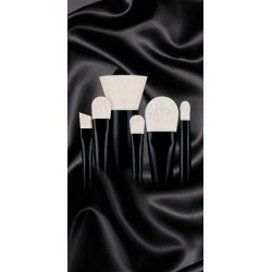 Cosmogen introduces Silkness: A line of professional make-up brushes