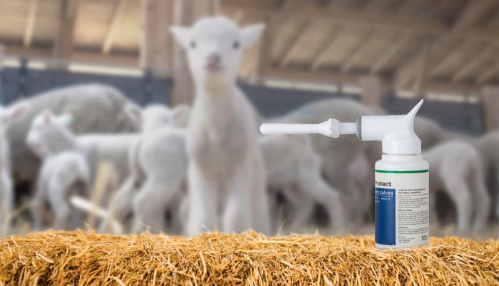 Swift Doser sprayer for accurate animal medicine