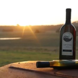 Tamburlaine Organic Wines introduces Packamama eco-flat bottles in a new Lizard Drinking brand launch