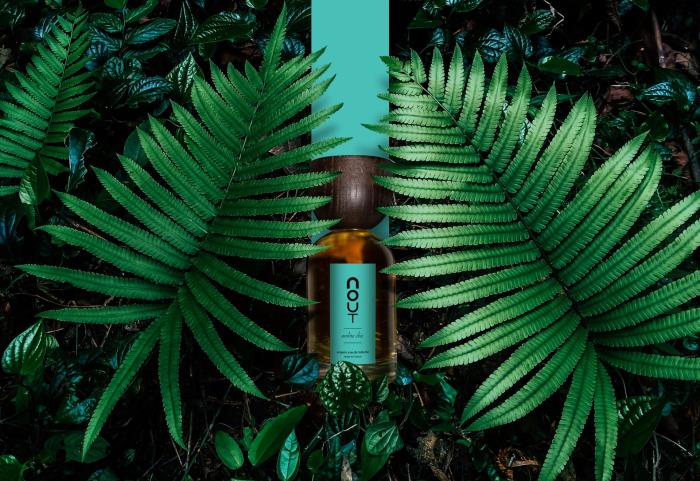 Pujolasos Continues to Prove Beauty and Sustainability are a Perfect Blend
