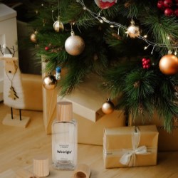 Pujolasos Helps Brands Deliver Eco-Friendly Choices in the Holiday Season