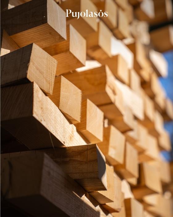 Responsibly Sourced Wood: Beyond Certification