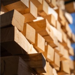 Responsibly Sourced Wood: Beyond Certification