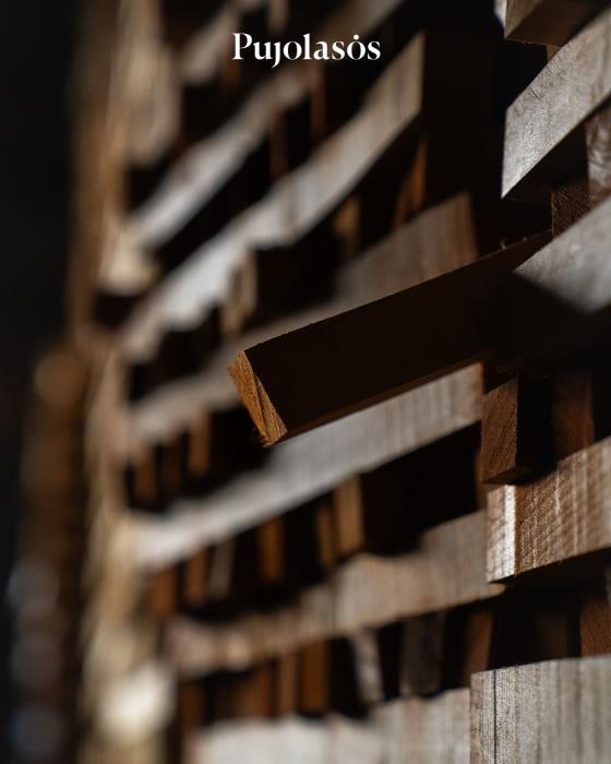 The End of Greenwashing: Is Transparency the New Luxury?