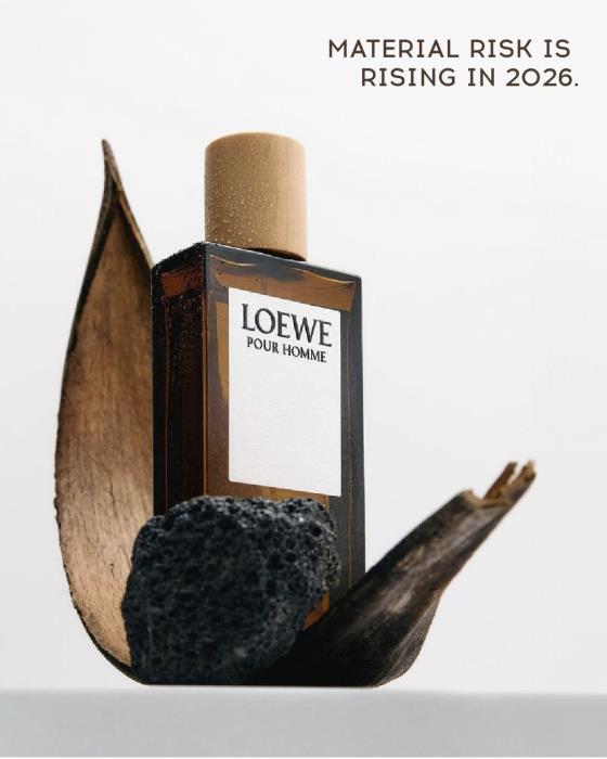 Material Risk Is Rising in 2026