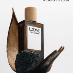 Material Risk Is Rising in 2026