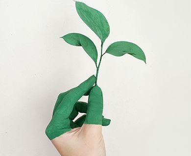 Natural products and sustainable philosophy for the beauty world